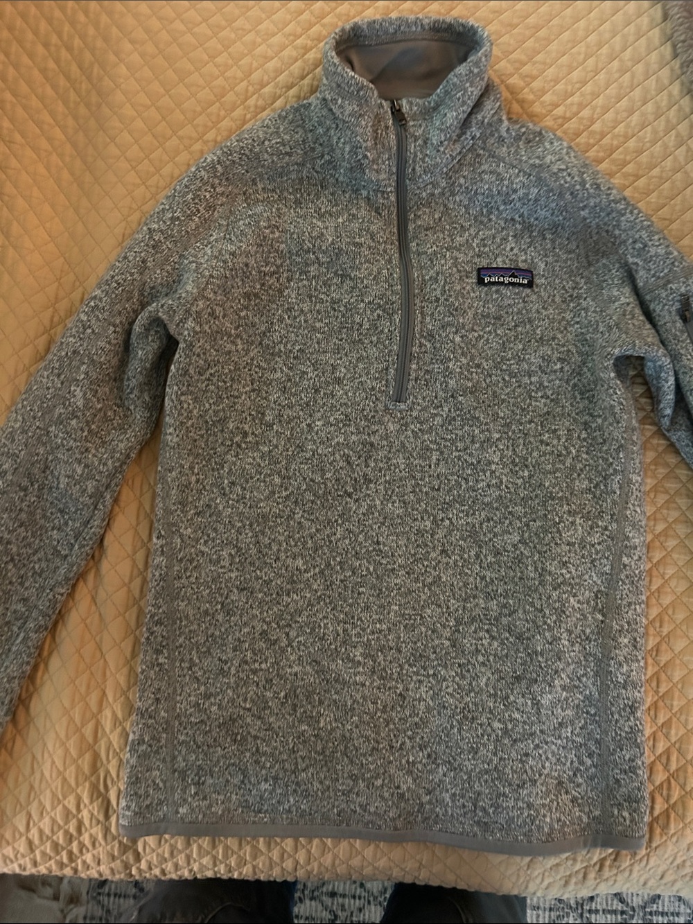 Patagonia Men's Light Gray Half-Zip Fleece Pullover